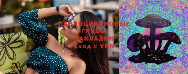 винт Балахна